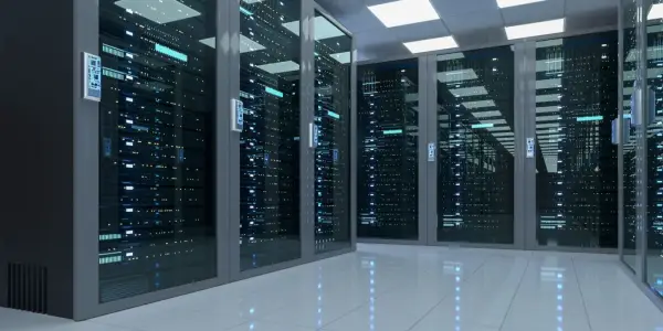 Environmental Advocates Raise Alarm Over AI Data Centers and Persistent Chemicals