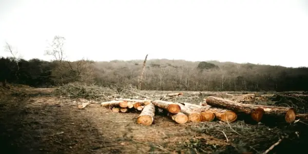The Overlooked Link Between Climate Change and Health at COP30