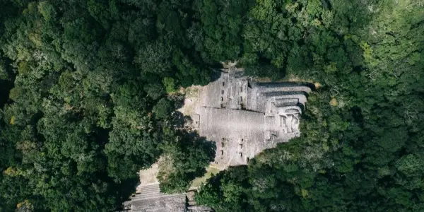 Historic Tri-National Initiative to Safeguard the Great Mayan Forest Biocultural Corridor