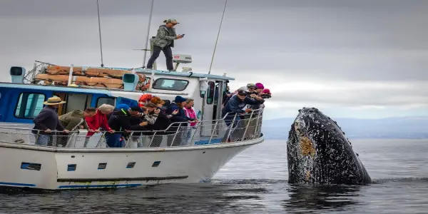 Notable Aquatic Highlights from the 2025 Nature's Best Photography Contest