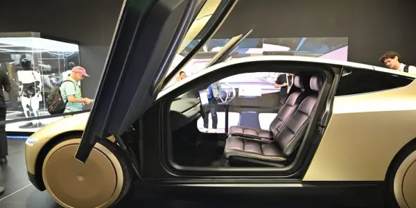 Elon Musk Joins the Conversation on Robotaxi Safety Following Incident Involving Cat