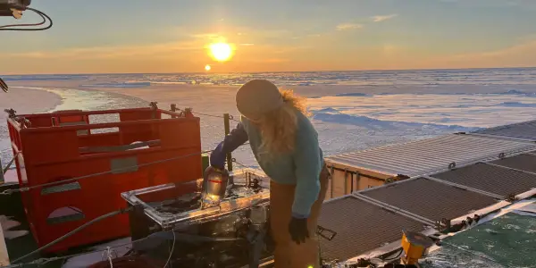 New Discoveries Reveal Hidden Microbial Life Beneath Arctic Ice
