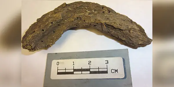 Ancient Feces from Mexico's Cave of the Dead Children Uncovers Prehistoric Pathogens