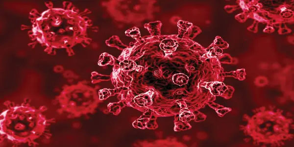 Post-Pandemic Trends: Low Rates of STDs and Flu Cases Persist, UGA Study Finds