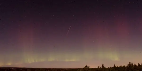 Draconid Meteor Shower Peaks on October 8: What to Anticipate
