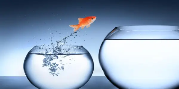 Leveraging ChatGPT for Purposeful Company Growth