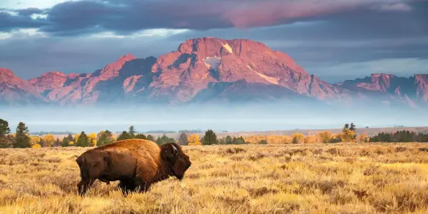 Key Considerations for Retirees Weighing a Move to a New State