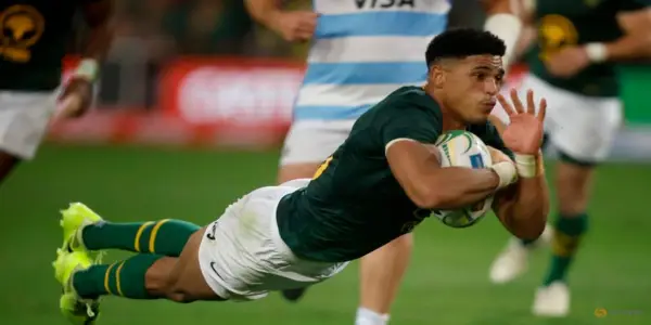 De Allende Supports Feinberg-Mngomezulu's Role as Game-Changer for Springboks