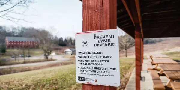 Rising Temperatures Linked to Increased Tick Activity and Lyme Disease Cases