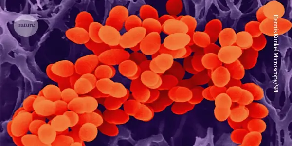 Escalating Threat of Antimicrobial Resistance: Global Insights and Challenges