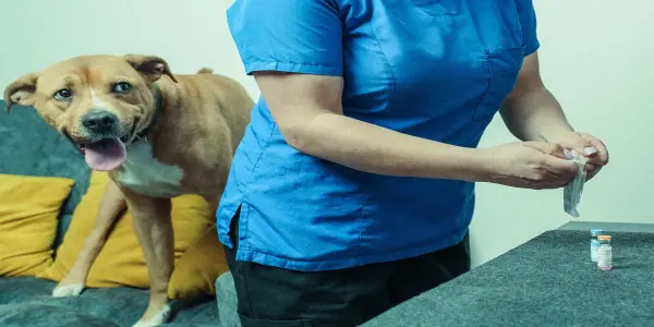 Pet Vaccination Skepticism Rises Amid Growing Concerns Among Owners