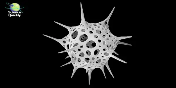 Michael Benson's Nanocosmos Highlights Natural Design Using Electron Microscopy