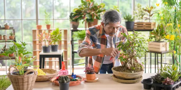Eight Unique Hobbies Psychologists Recommend for Reducing Anxiety Beyond Mindfulness