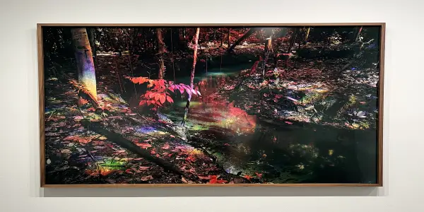 Reimagining Landscape Art: Politics and Perspectives at The 8th Floor Gallery