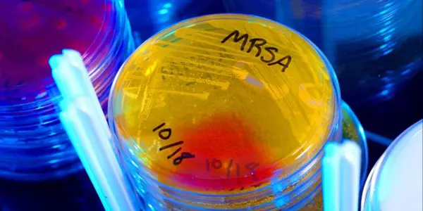 Newly Discovered Antibiotic Shows Potential Against Drug-Resistant Infections
