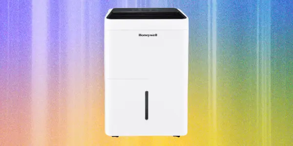 Top 7 Dehumidifiers for Maintaining Optimal Indoor Air Quality in 2025