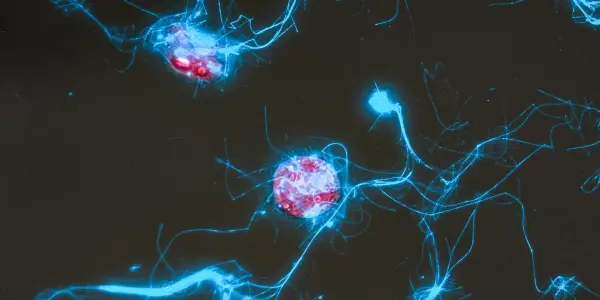 Innovative Fluorescent Probe Reveals Microbial Activity in Ocean Carbon Cycling