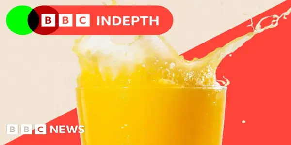 Rising Grocery Prices in the UK: The Case of Orange Juice