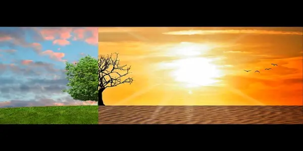 Urgent Action Needed as Scientists Warn of Approaching Climate Tipping Points