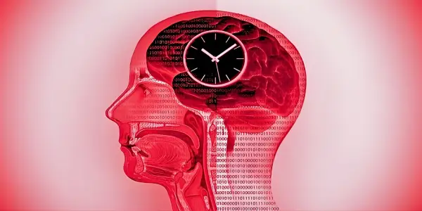 Intermittent Calorie Restriction Linked to Significant Brain and Gut Changes, Study Finds