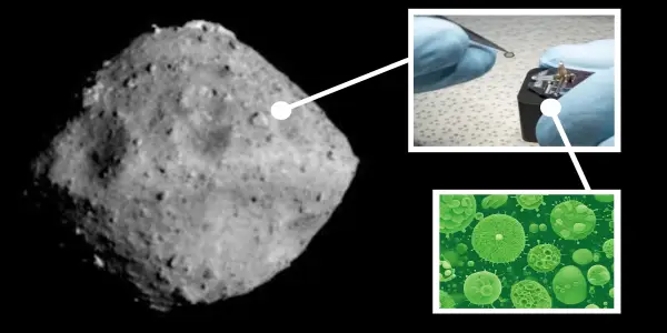 Asteroid Impact in Finland Reveals Ancient Microbial Life