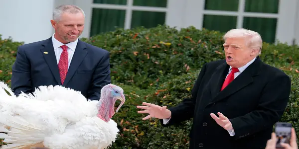 Trump Challenges Validity of Biden's Turkey Pardons at Pre-Thanksgiving Event
