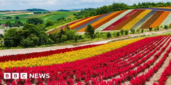 Japan's Ambitious Plan to Transform Hokkaido into a Semiconductor Powerhouse