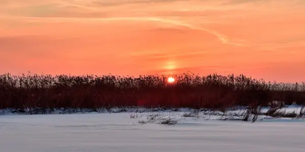 Daylight Saving Time: A Clash with Human and Ecological Rhythms