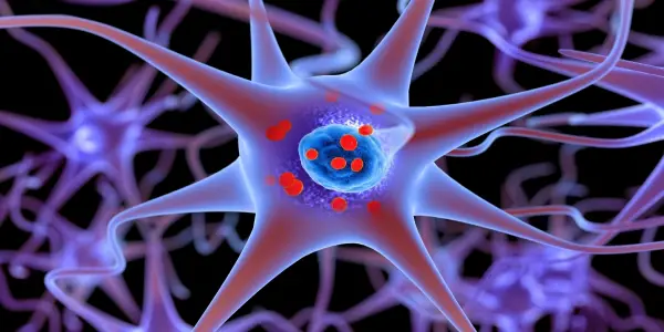 Research Breakthrough: Peptide Prevents Toxic Protein Clumping in Parkinson's Disease