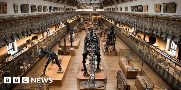 Chinese Woman Arrested in Barcelona Charged with Museum Gold Heist