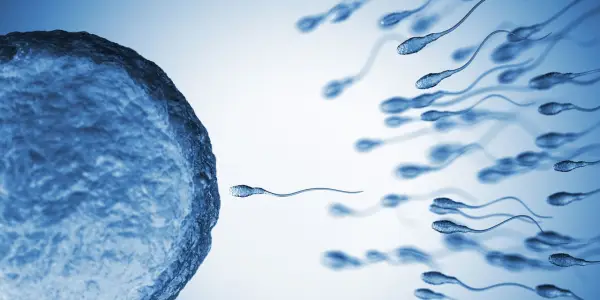 Genetic Mutations in Sperm Increase with Age, Study Reveals