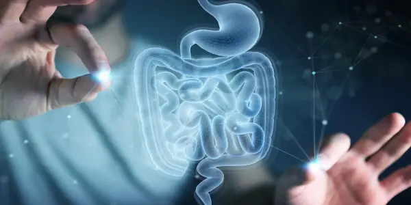MIT Research Uncovers Cysteine's Role in Gut Healing