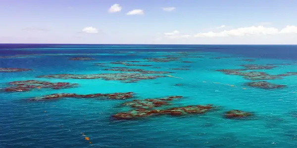 The Unique Characteristics of the Sargasso Sea: An Oceanic Anomaly