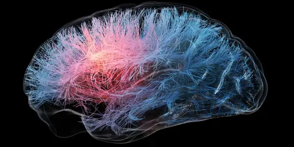 Existing Diabetes Drugs Show Promise in Enhancing Brain Health, Researchers Find