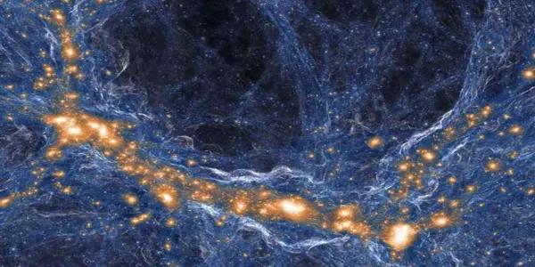 Exploring the Composition of Cosmic Voids