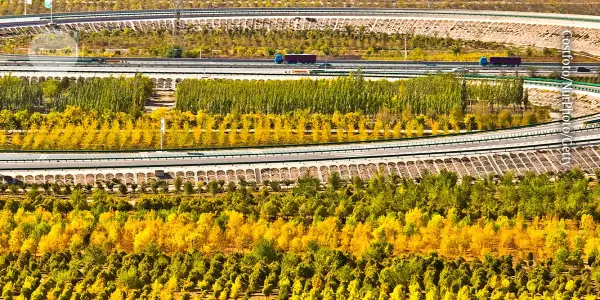 Reassessing Economic Growth: Valuing Natural Resources