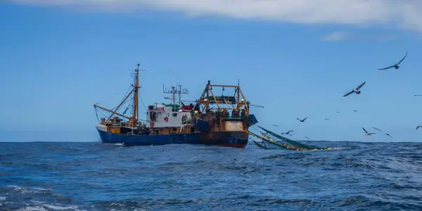 UN Treaty for High Seas Conservation Now Effective