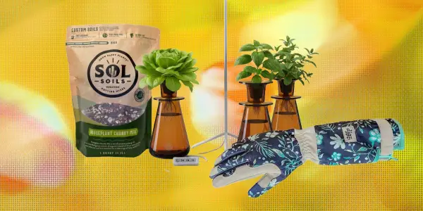 Top 19 Gifts for Plant Enthusiasts and Gardeners in 2026