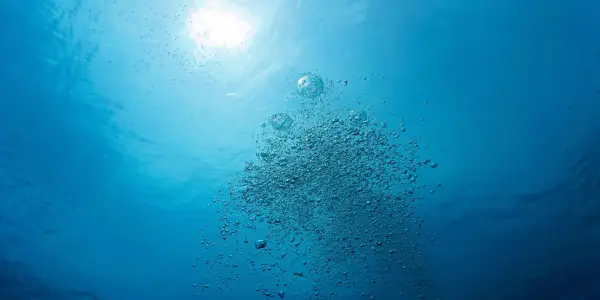 Scientists Warn of Alarming Decline in Oxygen Levels in Earth's Water Bodies