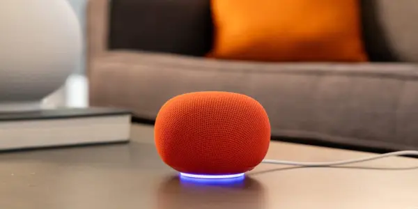 Google's New Home Speaker: A Mixed Bag of Features and Frustrations