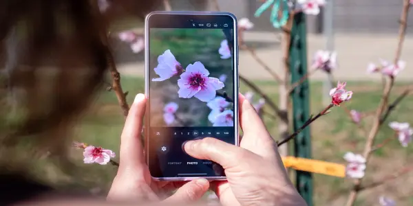 Essential Android Phones for Summer Travel in 2026