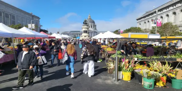 San Francisco Farmers Market Faces Scrutiny Over SNAP Fraud Allegations