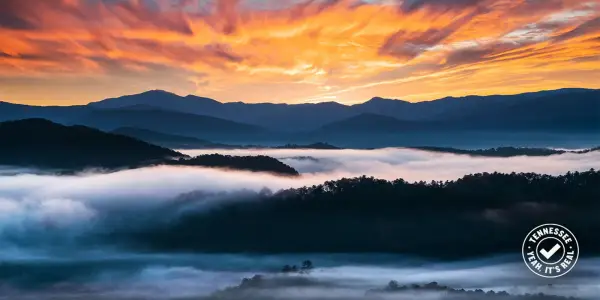 Tennessee's Tourism Initiative Promotes Authentic Photography Amid AI Concerns