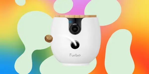 Top Amazon Prime Day Finds Under $30: Affordable Picks for Smart Shoppers