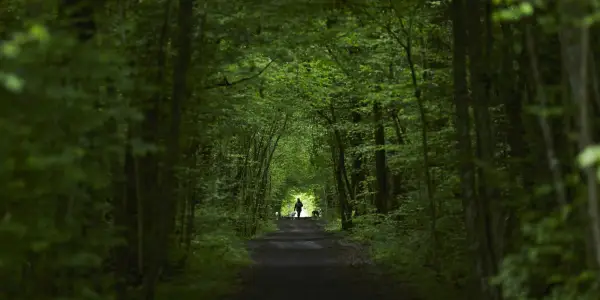 The Essence of Adventure: Embracing the Unknown