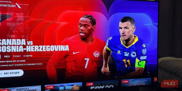 Discover Free Legal Options for Watching Live Sports
